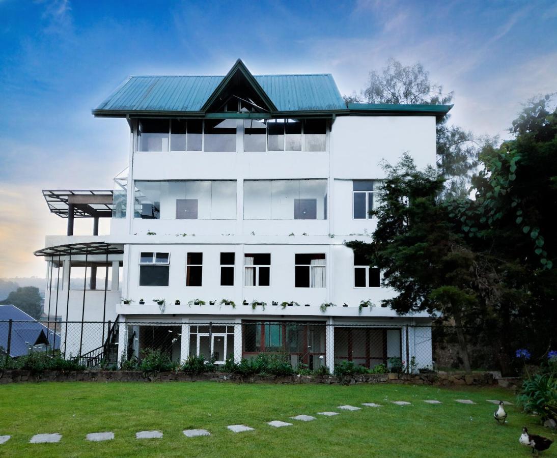 Tea Mount Forest Nuwara Eliya Kültér fotó